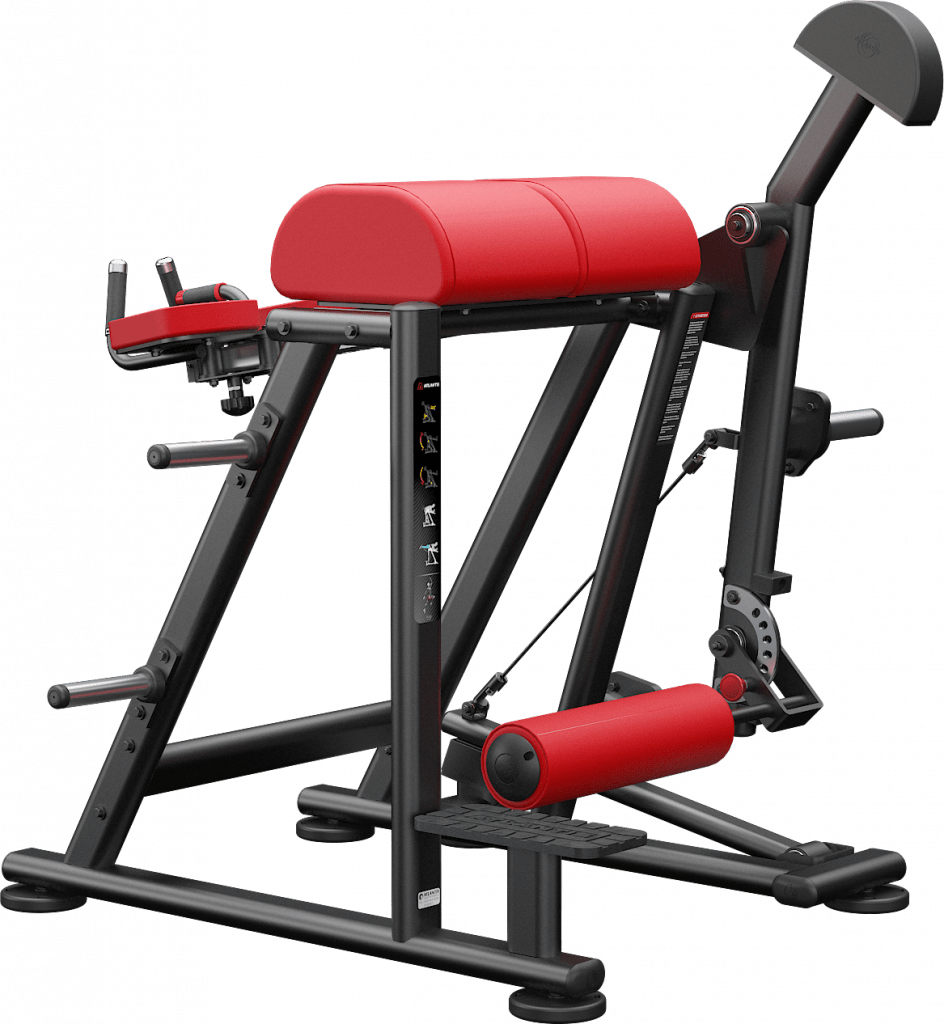 Buy Reverse hyper extension Online Australia | Performaxx