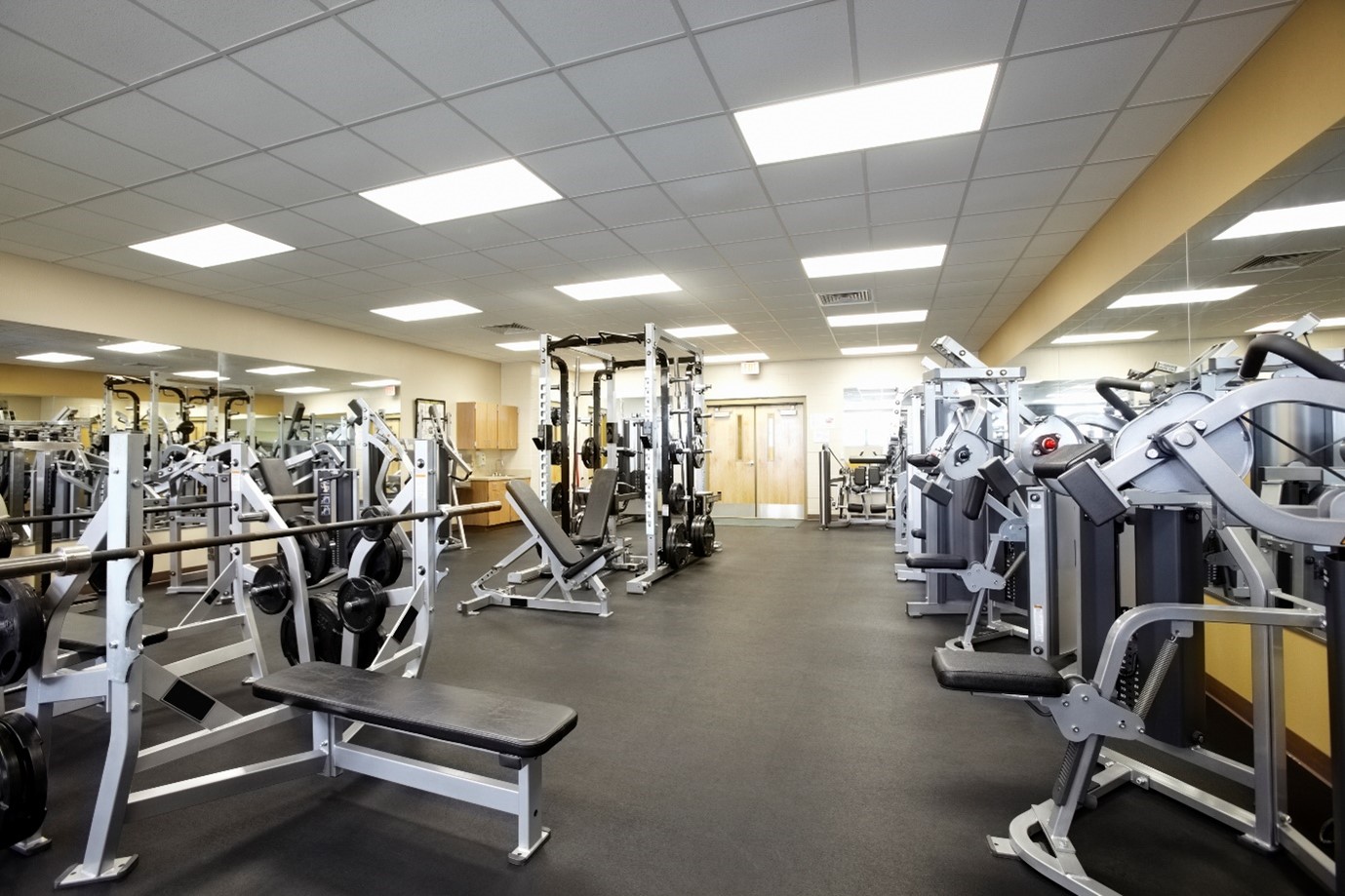 Best Workout Machines